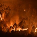 Realizan balance de incendios forestales tras cierre de la temporada en la comuna.